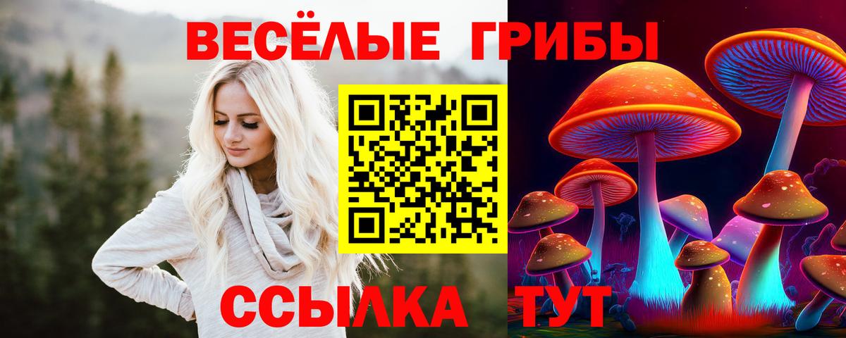 Галлюциногенные грибы GOLDEN TEACHER  Вход с VPN  Калининград 